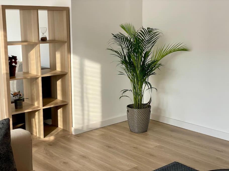טולוז Appartement 73M2 - 2 Chambres - Parking - Wi-Fi מראה חיצוני תמונה