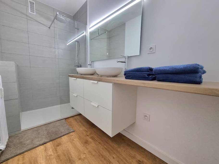 טולוז Appartement 73M2 - 2 Chambres - Parking - Wi-Fi מראה חיצוני תמונה