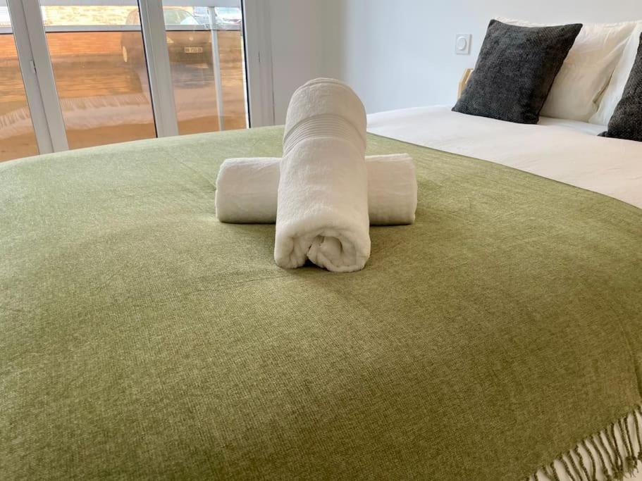 טולוז Appartement 73M2 - 2 Chambres - Parking - Wi-Fi מראה חיצוני תמונה